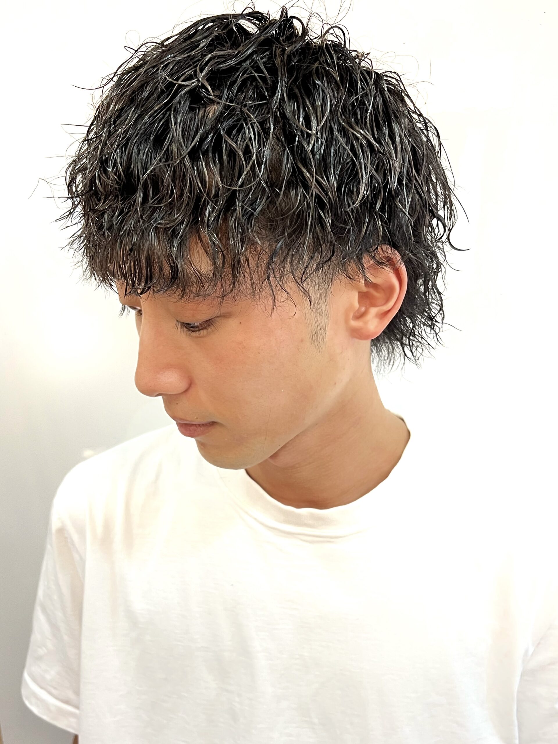 ツイスパウルフ　相島